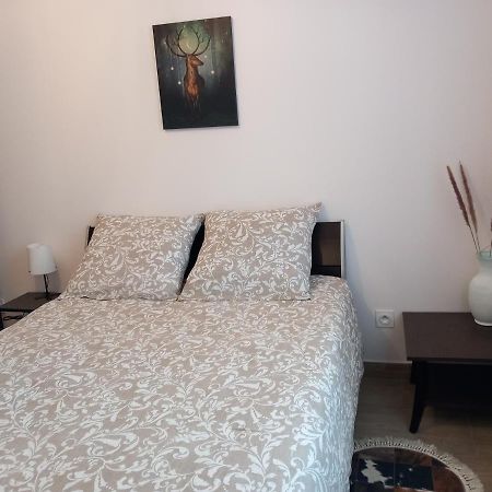 Apartmán Beau F2-5Mn Aeroport D'Orly-Parking Prive Gratuit Paray-Vieille-Poste Exteriér fotografie